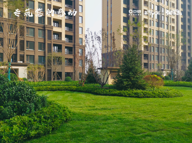 淮安市尚都汇最新动态,探索自然美景,寻找内心宁静与平和