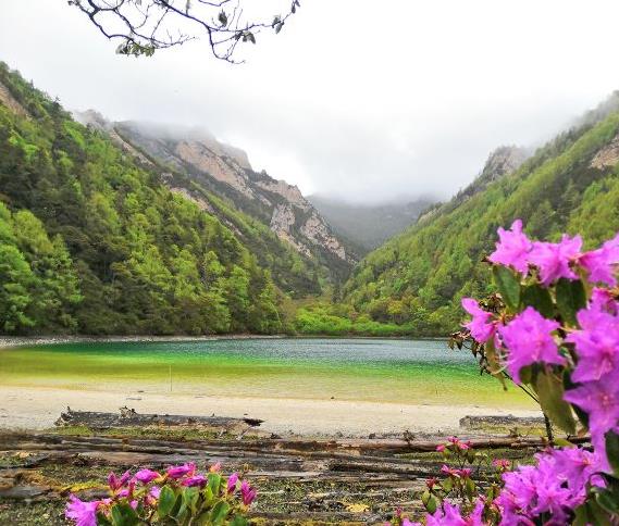 中铁香湖三期最新动态，自然美景的探索之旅，寻求内心平和与宁静