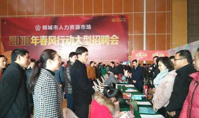 桐城市招聘网最新招聘信息速递🌟