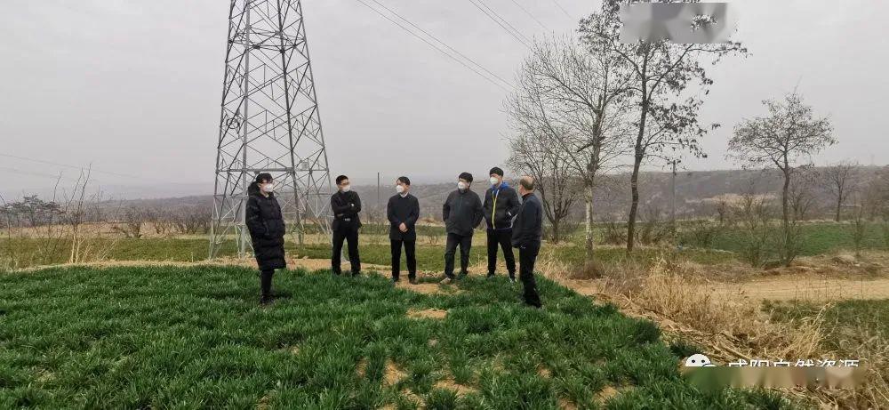 冠县西二环修建最新进展，自然美景探索之旅的心灵远离与重逢之路