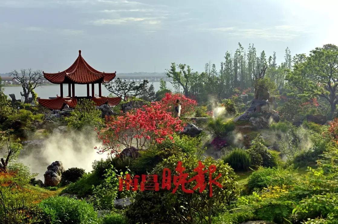 进贤县植物园最新动态更新