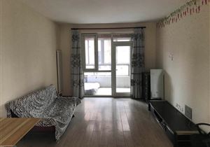 齐河二手房最新信息，家园变迁与成就感的源泉