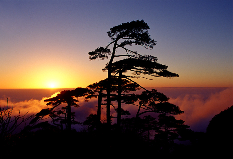 商务信息咨询 第363页