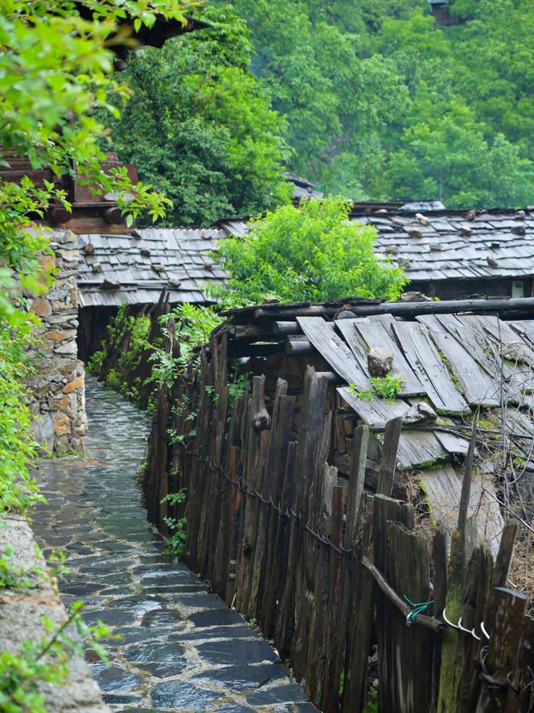 苹果最新芯片揭秘，小巷深处的科技探索