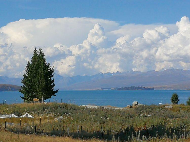 最新小网站探索自然美景之旅，启程寻找内心平静之旅