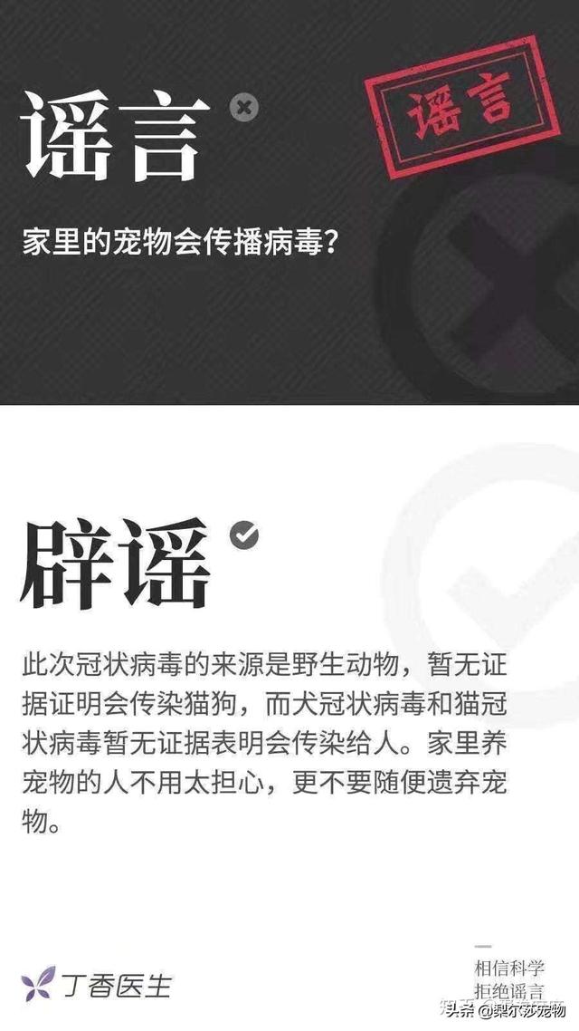 靖江奇遇，病毒下的友情奇妙日常