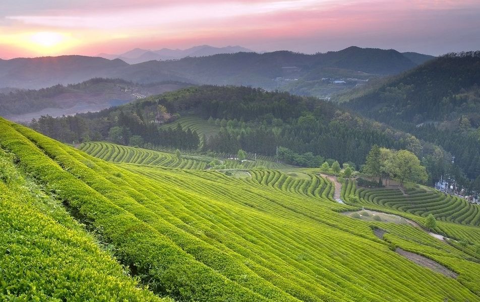 消防泵最新技术与自然美景探秘之旅