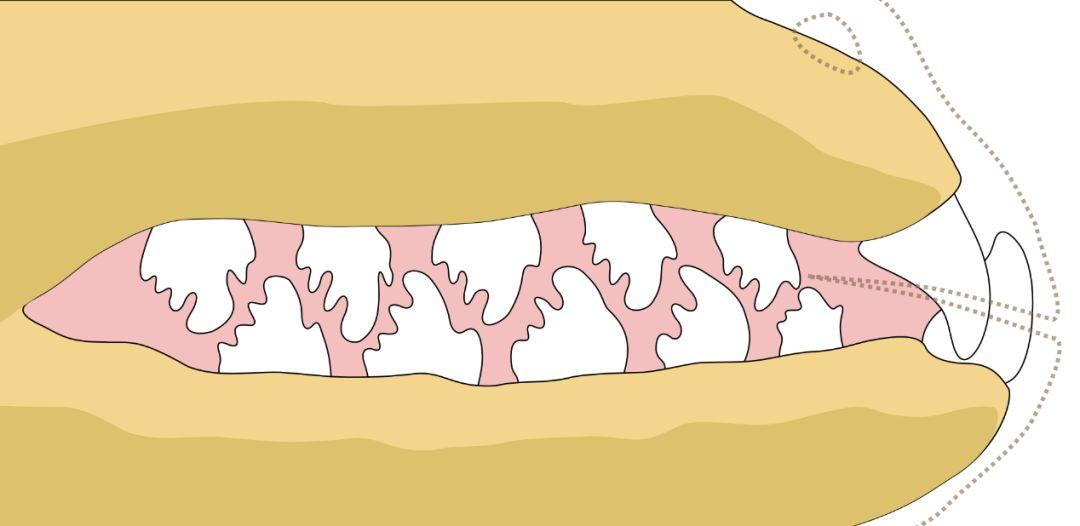 自然美景探索之旅，最新抗锯齿技术揭秘与应用