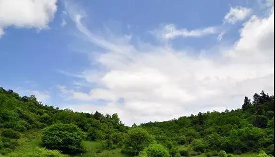 最新挑战极限成员，自然美景之旅，探寻内心平和与喜悦