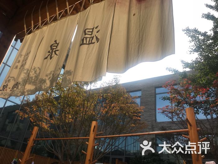 尚隐泉最新，泉水边的温馨日常记录