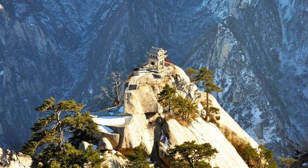 最新款泡面,心灵与自然的美食之旅