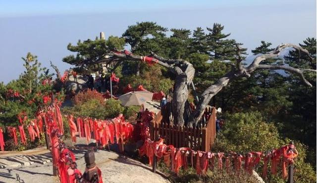 最新款泡面,心灵与自然的美食之旅