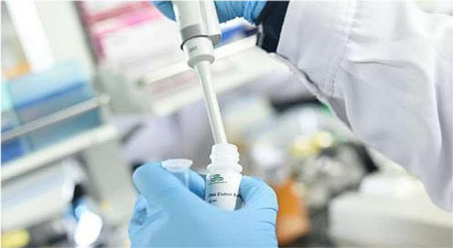 黄疸最新药品概览，治疗黄疸的新进展与选择