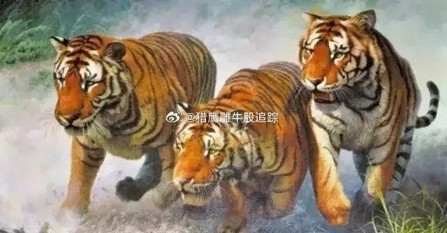 商务信息咨询 第348页