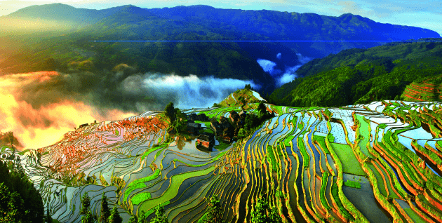 全国最新疫情地方,自然美景探索之旅的别样体验