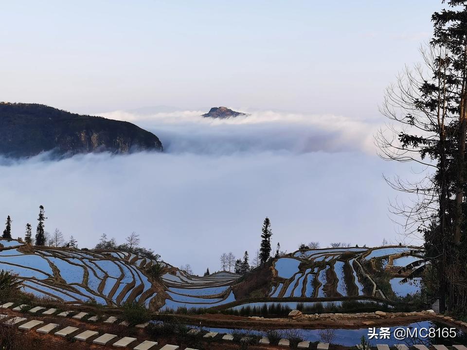 云南疫情最新动态,增加中的挑战与自然的呼唤