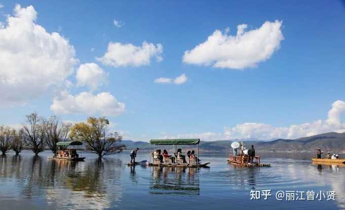 云南疫情最新动态,增加中的挑战与自然的呼唤