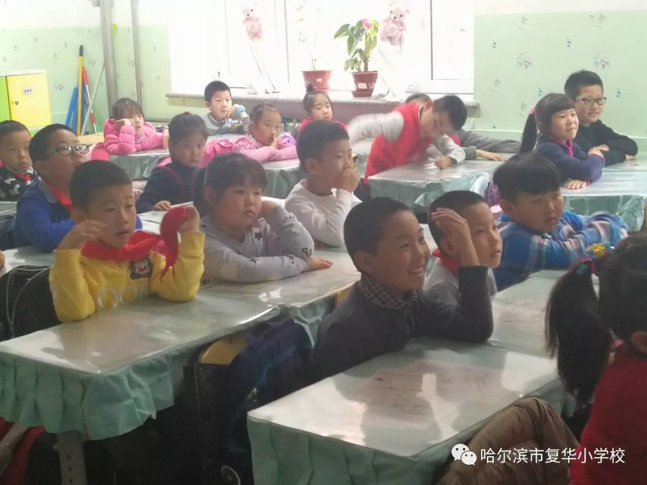 最新网课奇妙日常探索