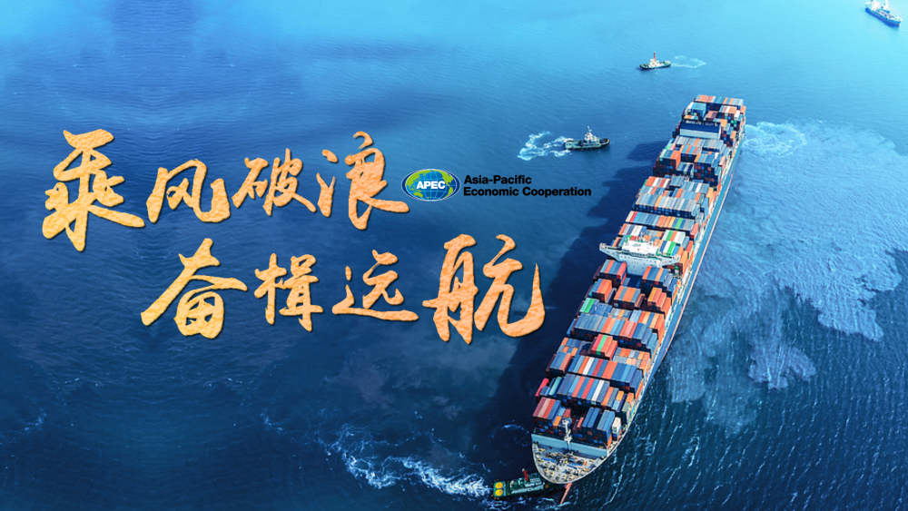 青岛报，乘风破浪，启航梦想之旅