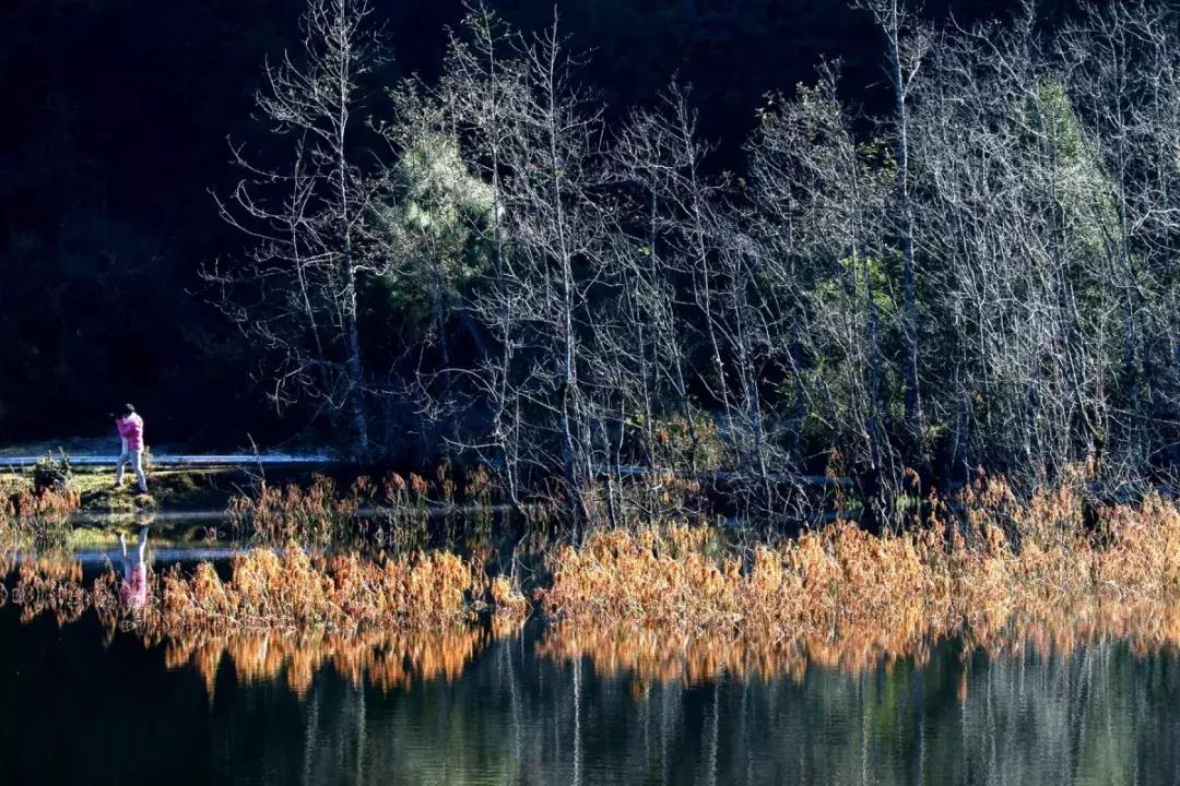 低语最新版,科技重塑生活,聆听未来的呼唤之声