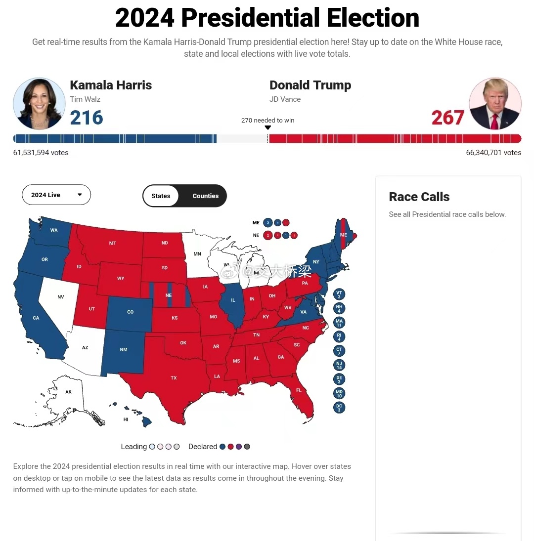 最新美国大选结果及其政治风向下的观点探析