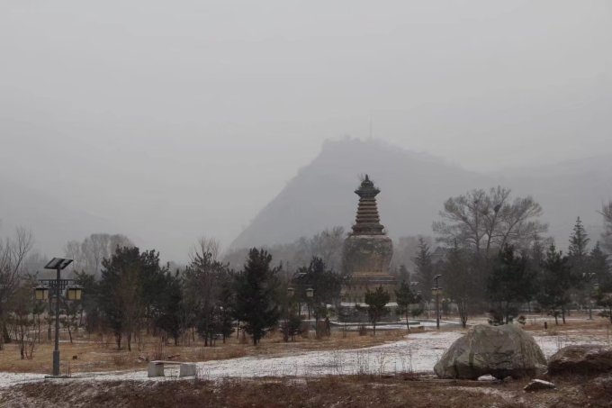 圣之雪最新动态与魅力探索