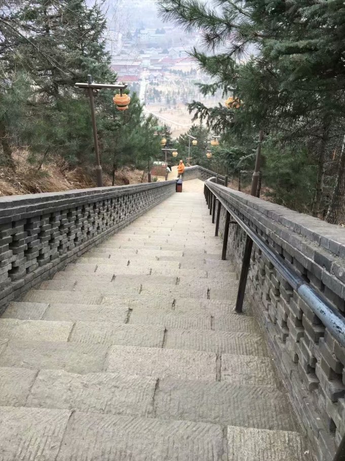 圣之雪最新动态与魅力探索