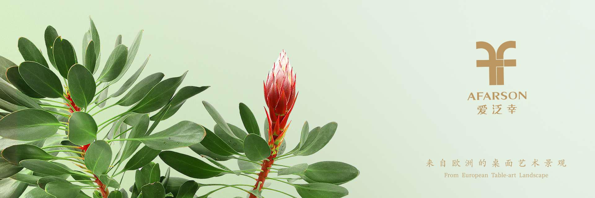 日系车最新,心灵与自然的美景之旅