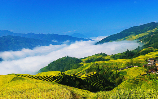探索自然美景的轻松之旅，养龙群最新动态揭秘