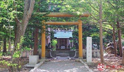 青铜穗最新小说深度解析与观点阐述，最新力作一览无余