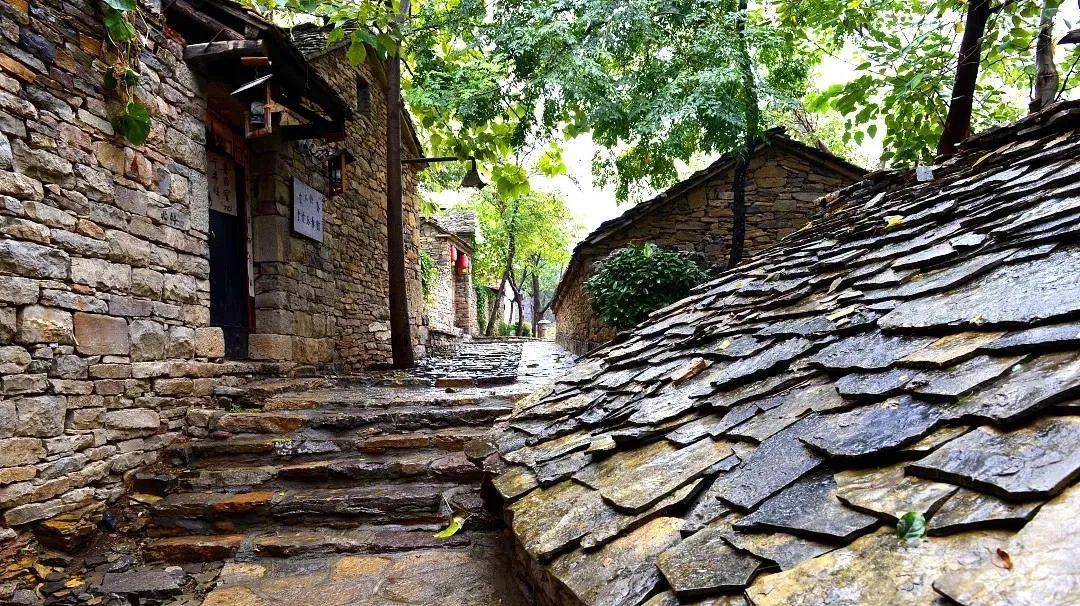 Wearaday国际版最新更新，小巷深处的独特惊喜探索