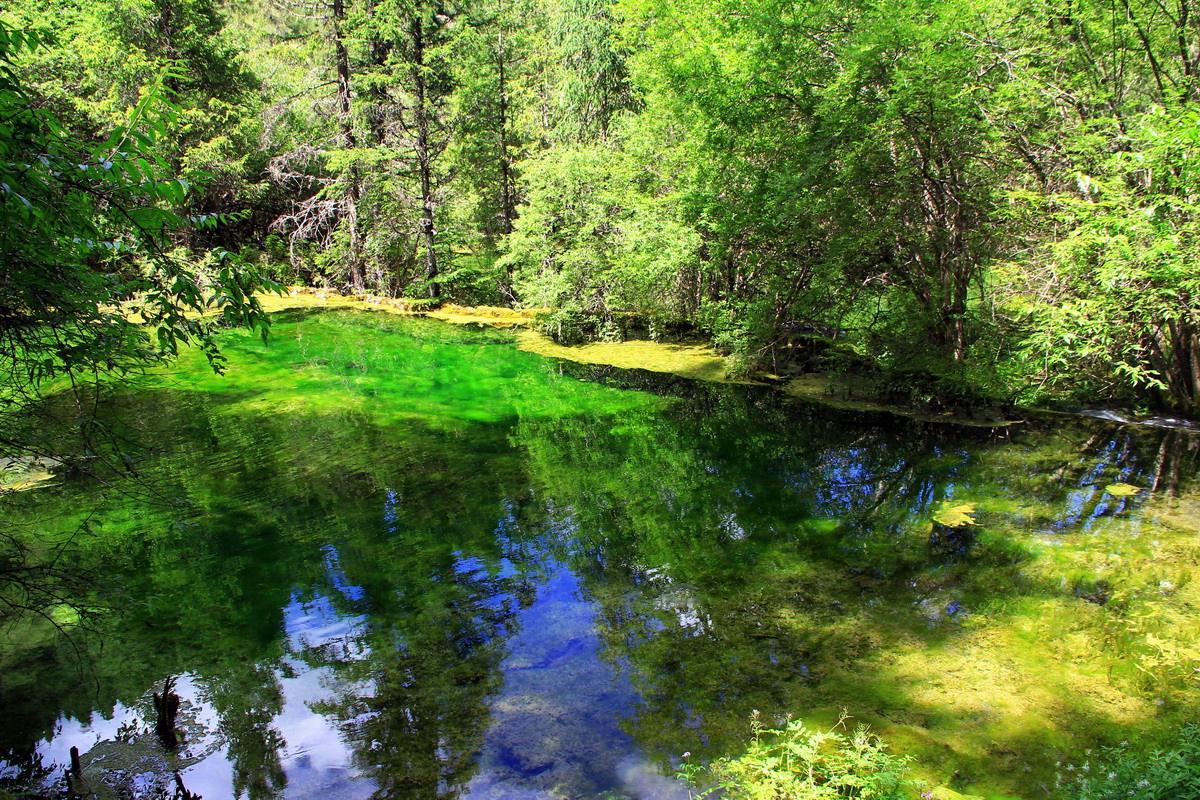 新品上市案例，启程探索自然美景，寻找内心宁静之旅