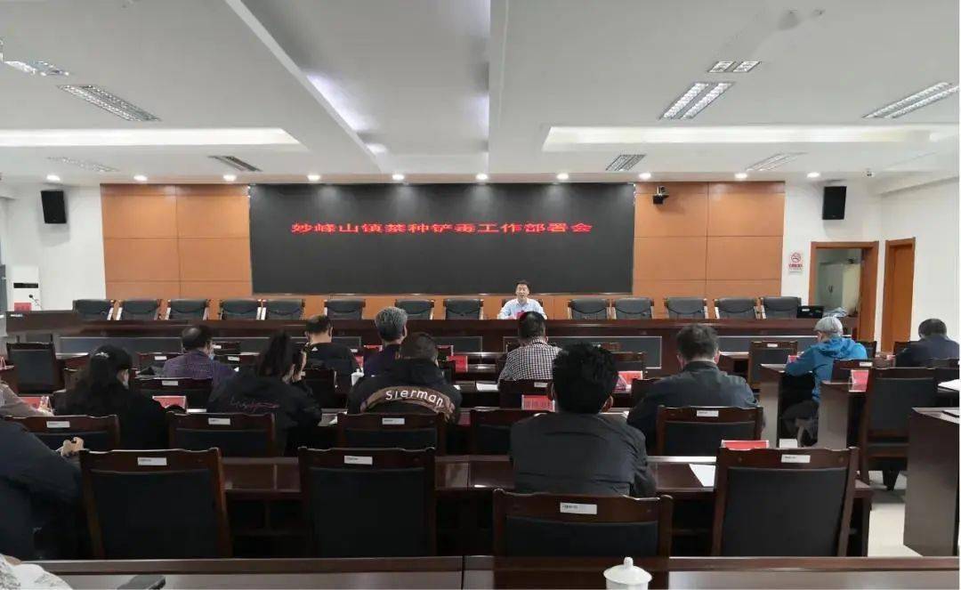 最新公安禁毒剧深度揭秘，禁毒战争背后的故事