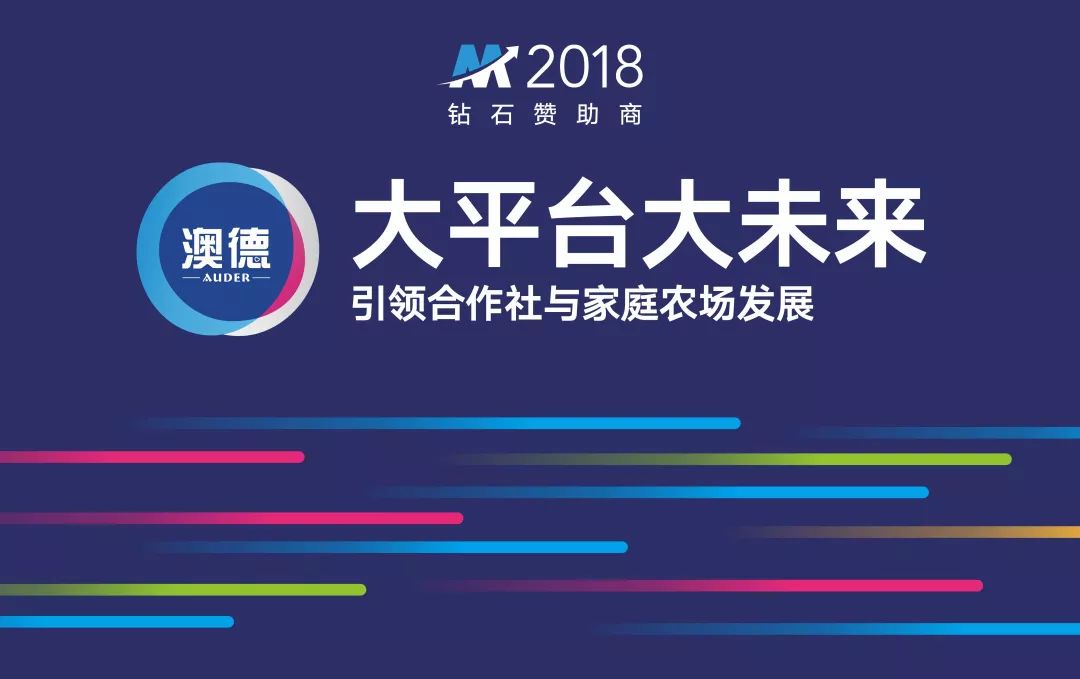 杭州大江东，时代脉搏下的最新动态与未来序曲