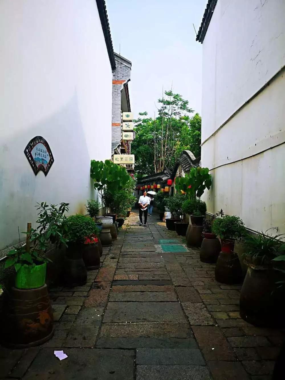 湖州最新事件,湖州最新事件，小巷深处的独特小店