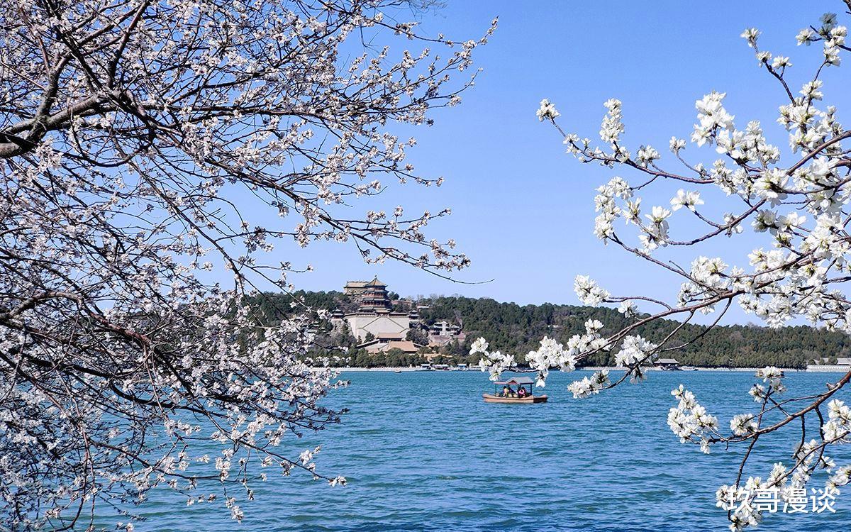 北京春游攻略大全，赏花游玩必备指南 🌸
