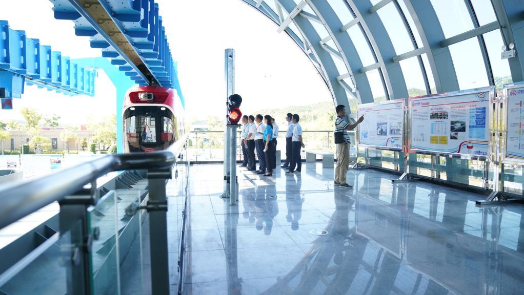 稀土永磁股票行情深度解析,行业洞察、前景展望与投资机会分析