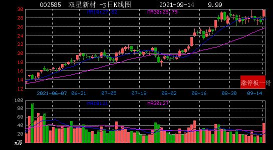 揭秘股市新星,深度解析002556股票行情🚀