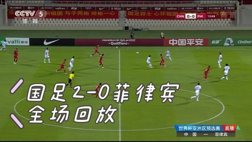 世界杯比赛回放视频,从观众到勇士的自信与成就感之旅