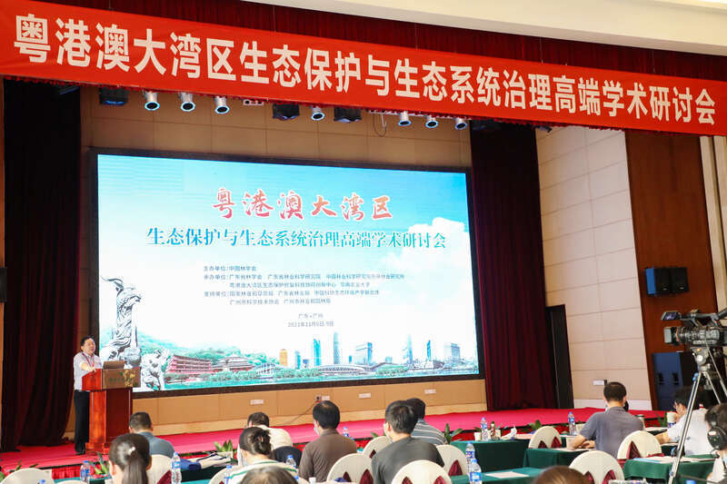 德惠丁才彦最新资讯全方位解读与探讨