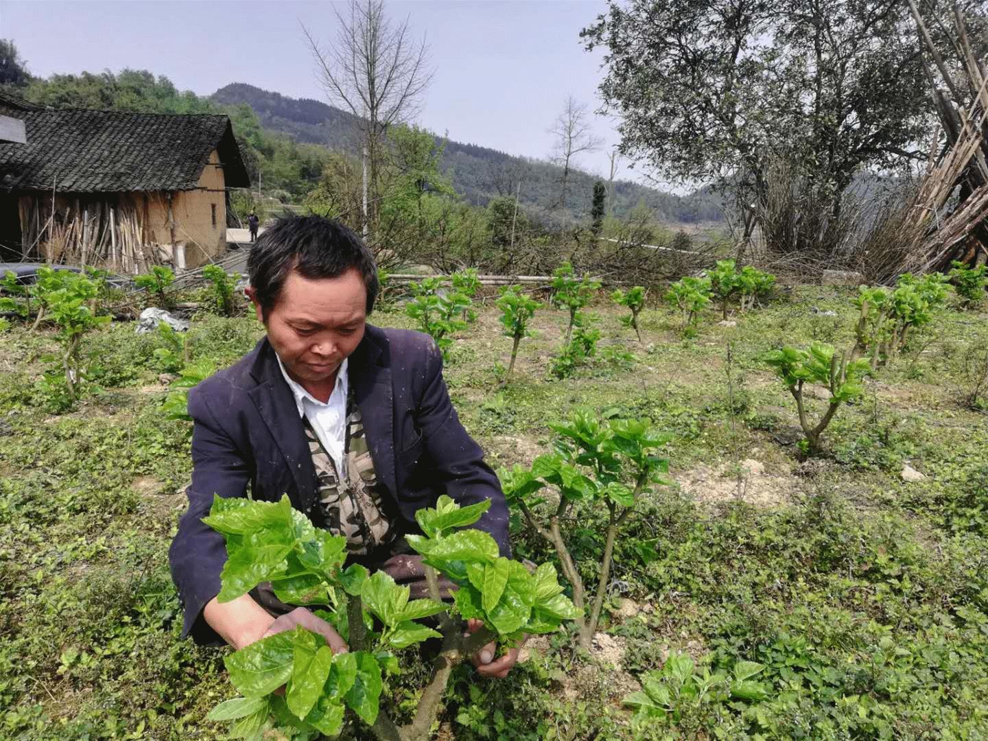 ST摘帽行情揭秘,股市新机遇启动🚀