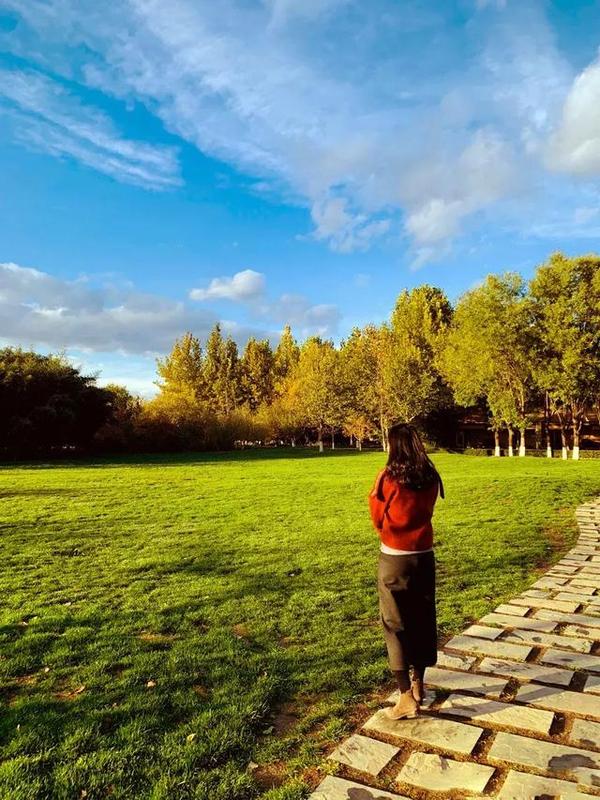 寻找自然美景的旅程,最新访问地址与内心的平和与远方的呼唤