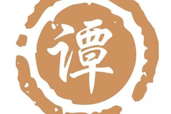 谭氏街头风采，多元视角的解读与展示