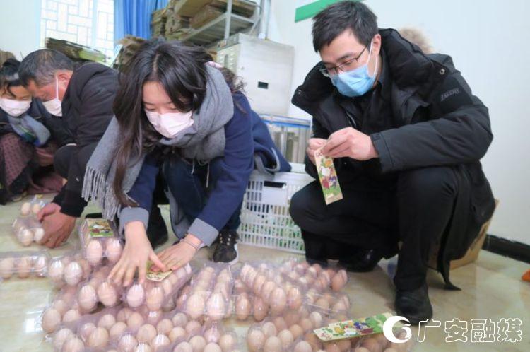 物流行业革新与未来趋势,最新物流新闻大揭秘🚚