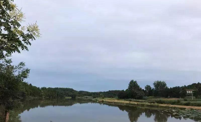 新型蚕用饲料探秘，小巷深处的蚕食乐园之源