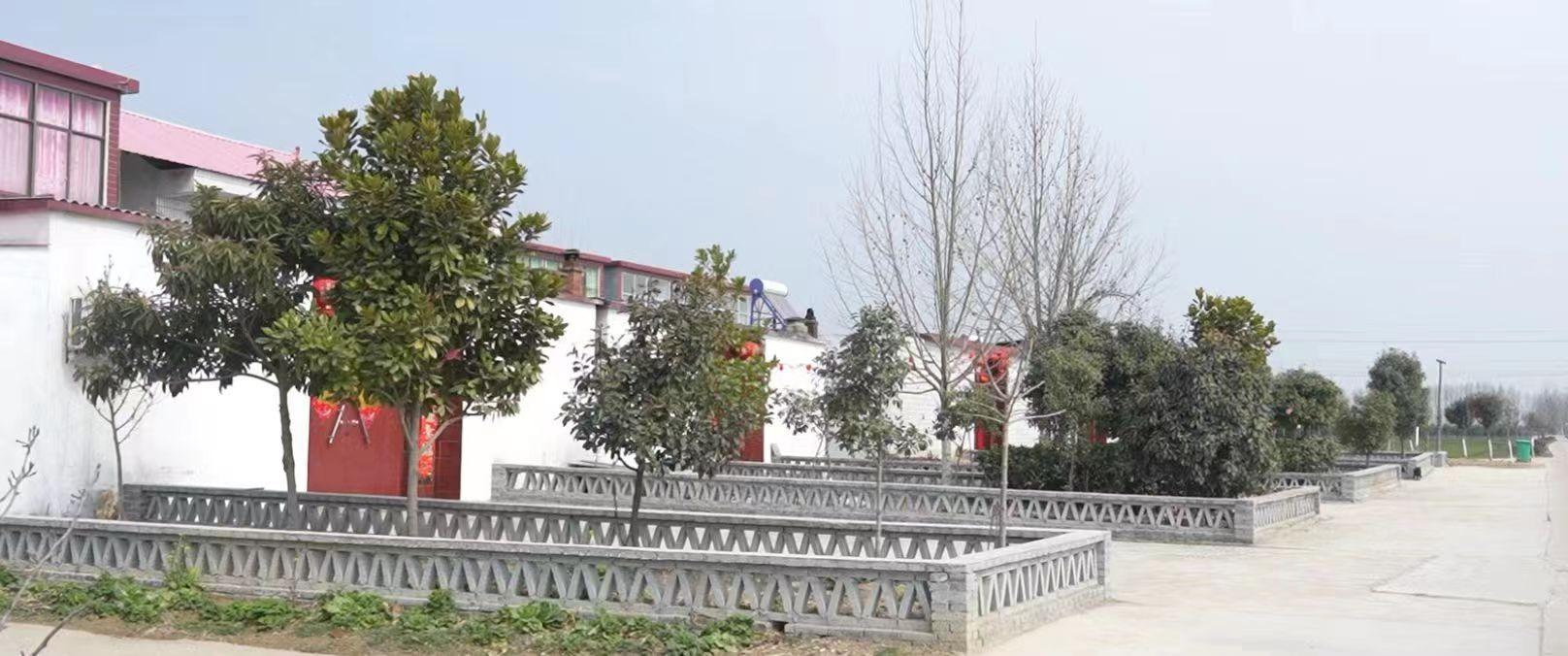 河南省平舆县交通事故最新报道，路上的风景治愈喧嚣小插曲