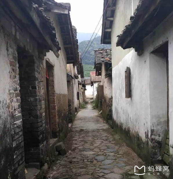 荣成上市企业的独特风味探索之旅,小巷中的美食秘境