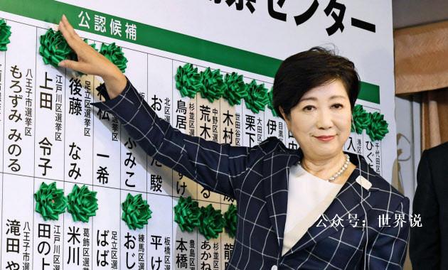 梦百合股票，资本市场传奇之旅的揭秘与解析