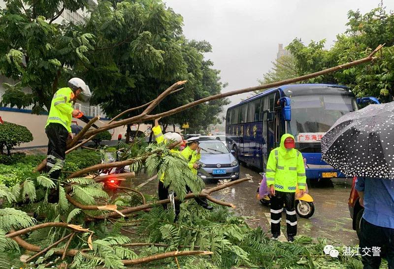 湛江最新案例，逆风翻盘的励志传奇