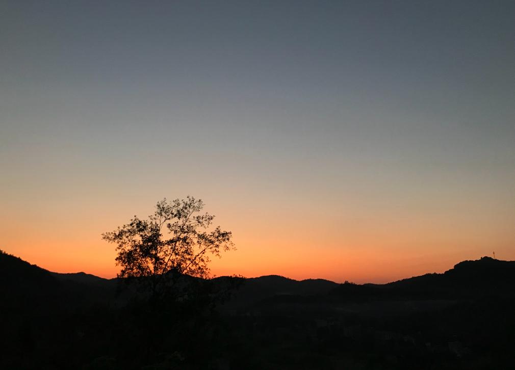 商务信息咨询 第324页